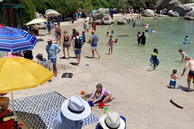 Penguin Watching & Beach Day at Boulder's Beach, Cape Town - Price, group size, and what you really receive