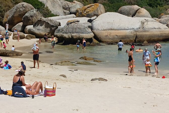 Penguin Watching & Beach Day at Boulder's Beach, Cape Town - Chapman’s Peak Drive: the strongest scenic section