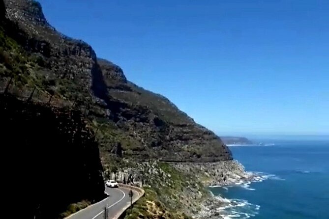 Penguins Cape of Good Hope, Cape Point Private Tour - Hout Bay Harbour and the optional seal cruise