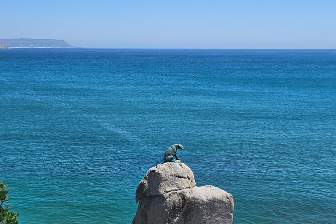 Peninsula Full Day Private Tour - Chapman’s Peak Drive and the Atlantic coast