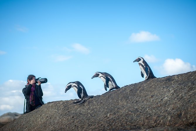 Peninsula Photography Tour - A long Cape Peninsula day built around photography