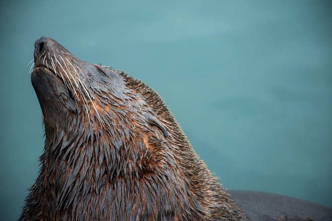 Peninsula Photography Tour - Who will get the most from this tour