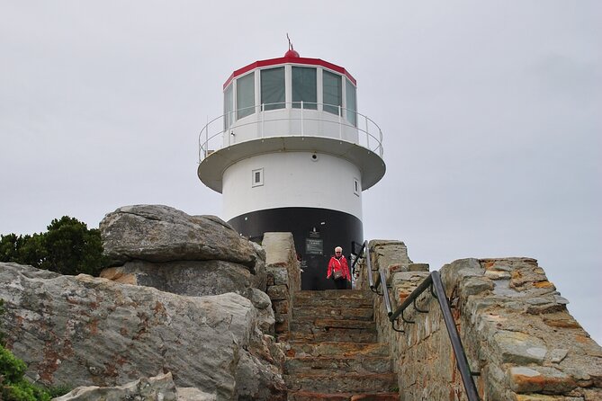 Peninsula Tour - What this private Cape Peninsula tour is really for