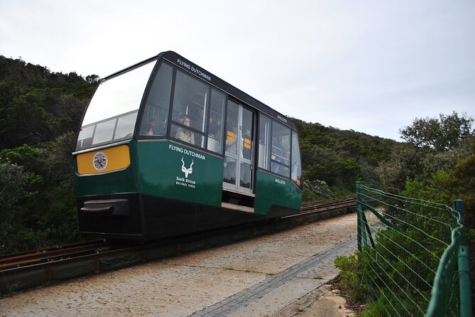 Peninsula Tour - Three hours inside Cape Point Nature Reserve