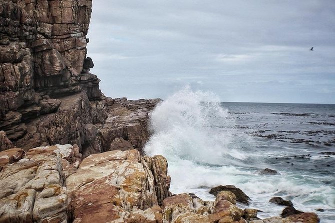 Peninsula Tour Cape Town - Old Cape Point Lighthouse: hike or Flying Dutchman funicular