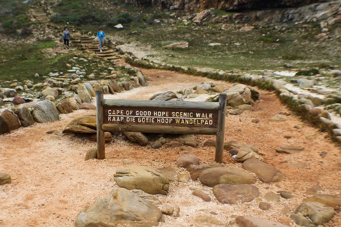 Peninsula Tour Cape Town - Boulders Beach: the day’s most memorable wildlife stop