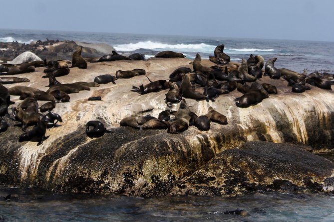 Peninsula Tour Cape Town - Simon’s Town and Jubilee Square: a sensible lunch stop