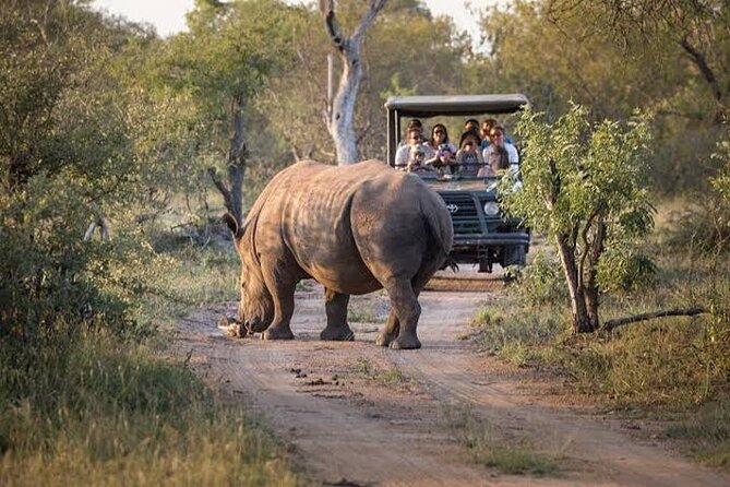 Pilanesberg Full Day Safari - Booking advice before you pay