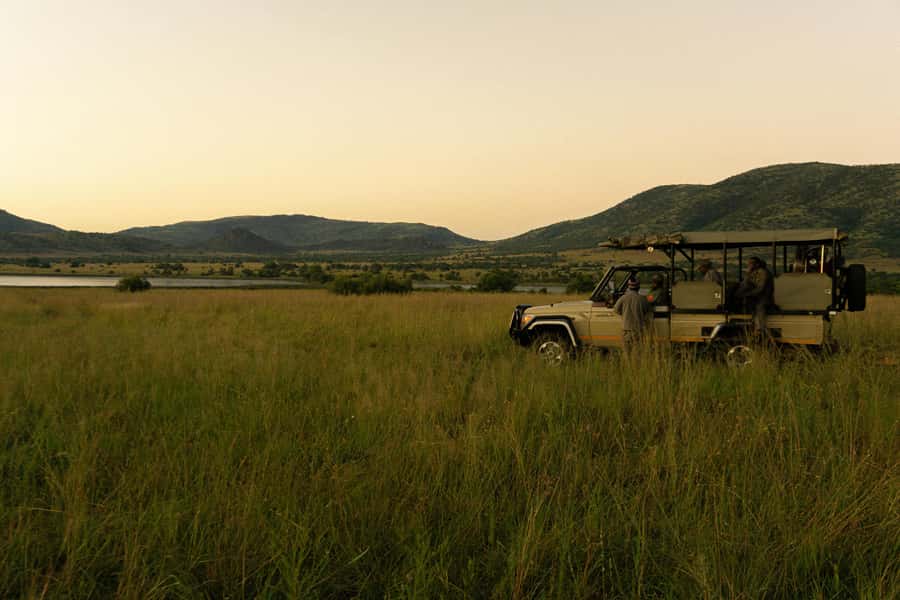 Pilanesberg: Full-Day Safari Adventure from Johannesburg - The Best Part May Be the Smaller Sightings