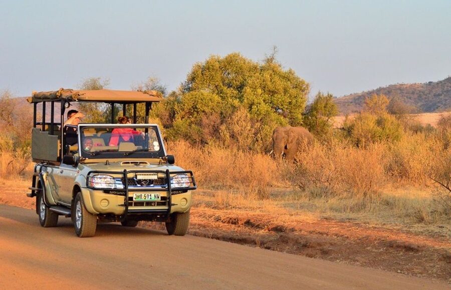 Pilanesberg Full-Day Shared Safari with Sun City Visit - Why this Pilanesberg and Sun City combination works
