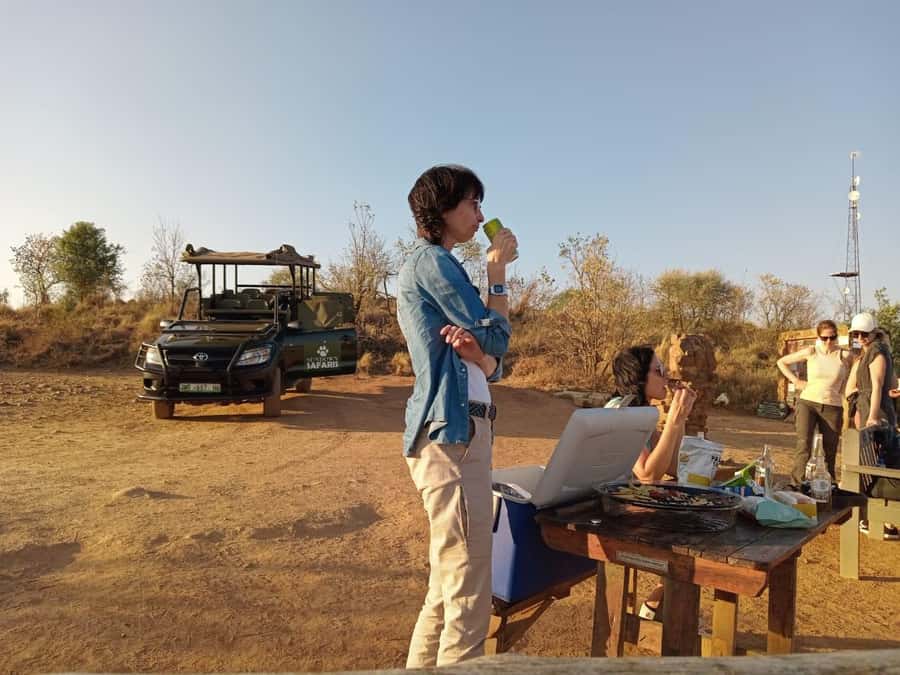 Pilanesberg Morning or Afternoon 3 Hour Game Drive - Three hours of wildlife viewing