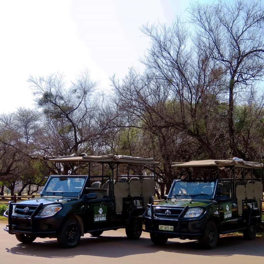 Pilanesberg Morning or Afternoon 3 Hour Game Drive - The Big Five and the animals you might see