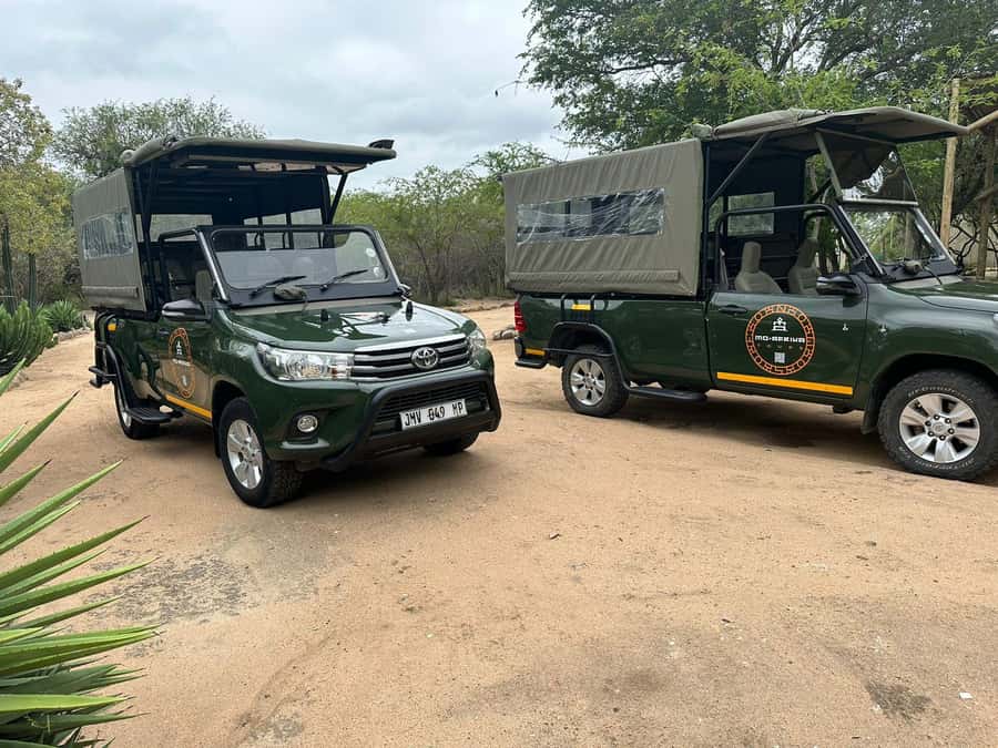 Pilanesberg Morning or Afternoon 3 Hour Game Drive - Morning or afternoon: which departure suits you?