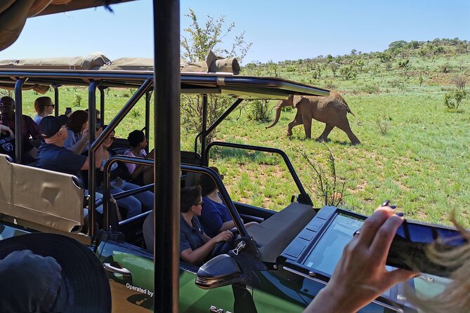 Pilanesberg National Park Safari from Johannesburg - Entering a park shaped by ancient volcanoes