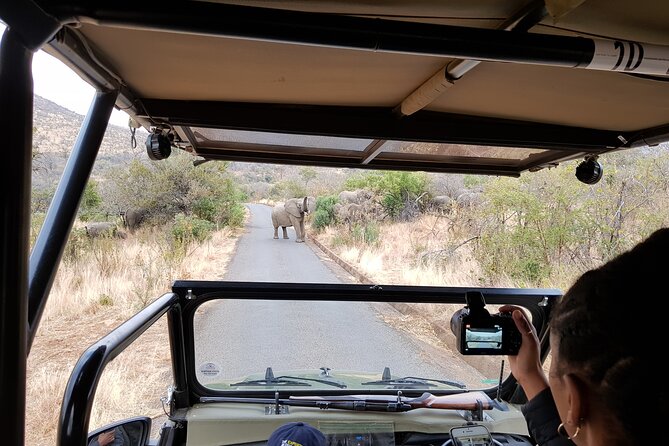 Pilanesberg National Park Safari from Johannesburg - Looking for the Big Five in three to four hours