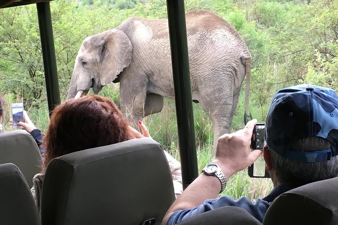 Pilanesberg National Park Safari from Johannesburg - What the park visit feels like