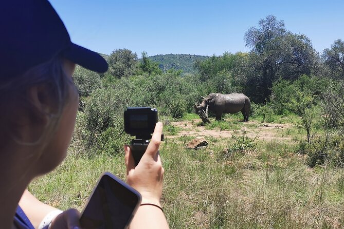 Pilanesberg National Park Safari from Johannesburg - Who will get the most from this outing?