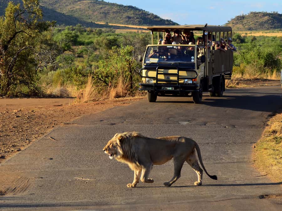 Pilanesberg National Park/Sun City Hot Air Balloon Safari - Is $421 per person good value?
