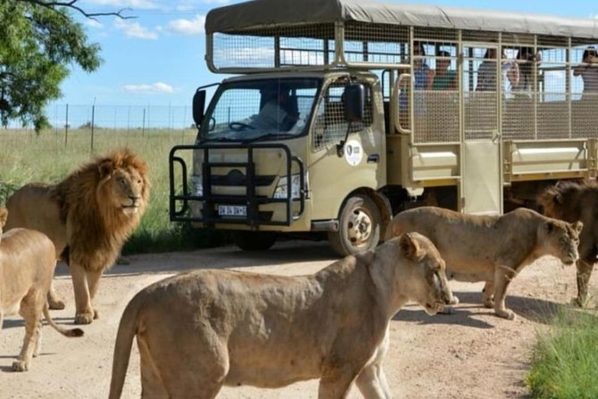 Pilanesberg Nature Reserve & Safari Park Lion Private - Entering Pilanesberg at 06:00