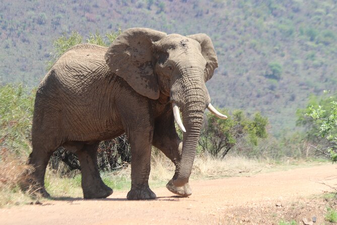 Pilanesberg Nature Reserve - The 06h00 pickup and the long road into the bush