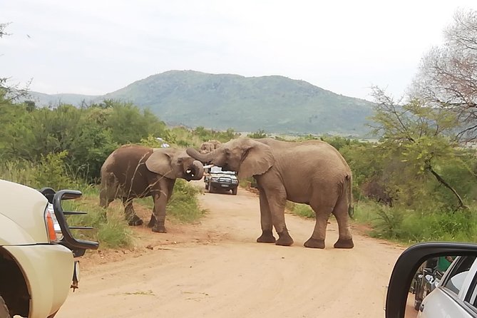 Pilanesberg Safari 3 Days 4 Star Private - The afternoon open 4x4 drive
