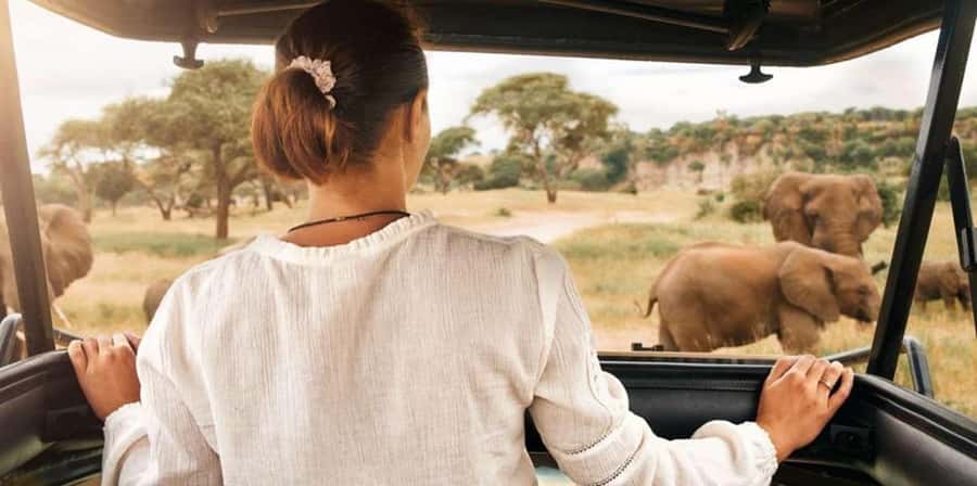 Pilanesberg: Two-Day Camping Adventure from Johannesburg - Why Pilanesberg works for a short safari