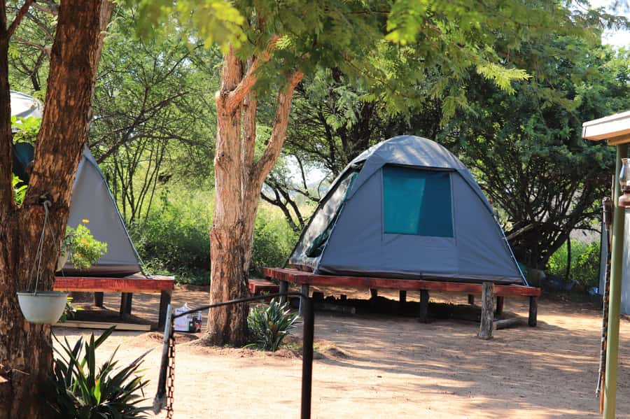 Pilanesberg: Two-Day Camping Adventure from Johannesburg - Lunch and a quiet afternoon at Tlou Camp