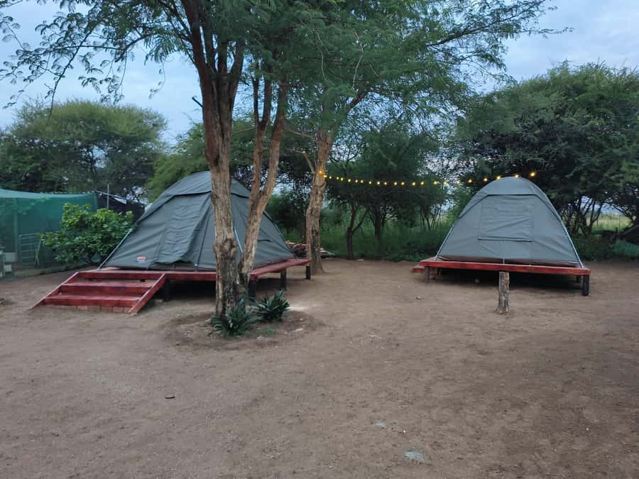 Pilanesberg: Two-Day Camping Adventure from Johannesburg - The drive back to Johannesburg
