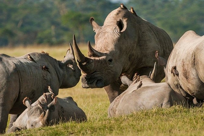 Pilanesberg Wildlife Safari - The cost and what it covers