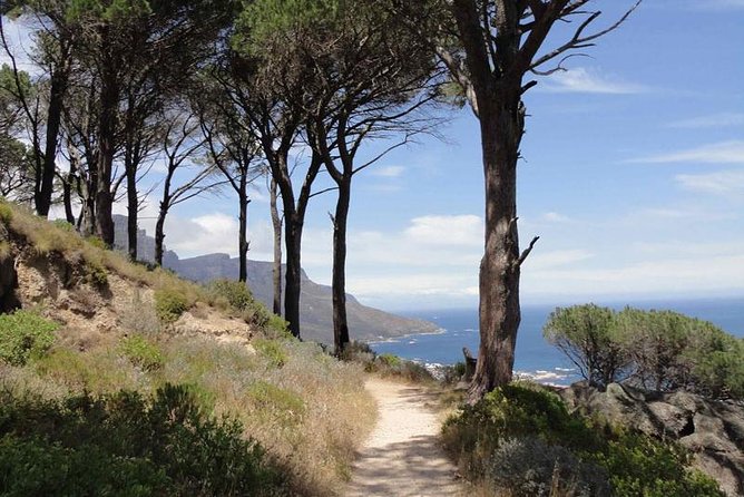 Pipetrack Hike for the whole family on Table Mountain - PRIVATE - Key points to know before booking