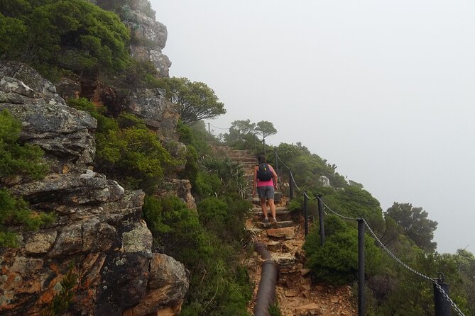 Pipetrack Hike for the whole family on Table Mountain - PRIVATE - What the Pipetrack route actually offers