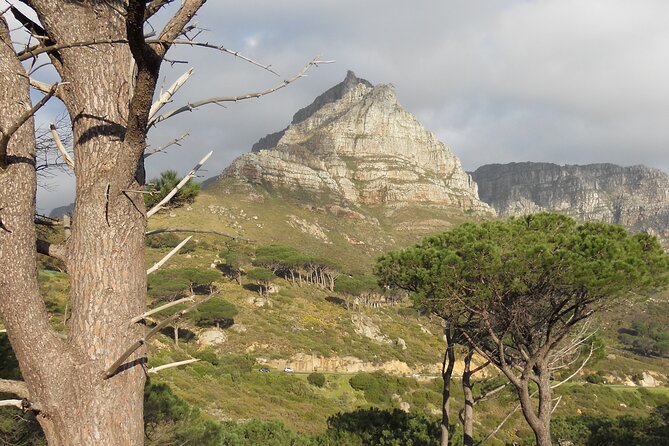 Pipetrack Hike for the whole family on Table Mountain - PRIVATE - The private format changes the feel of the hike