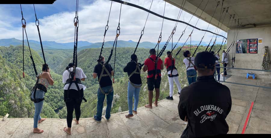 PLETTENBERG BAY: Bloukrans Bridge Skywalk Tour and HangOut - Key points to know before you go