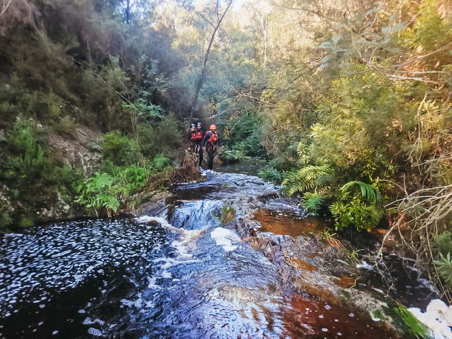 Plettenberg Bay: Canyoning Trip - The essential facts at a glance