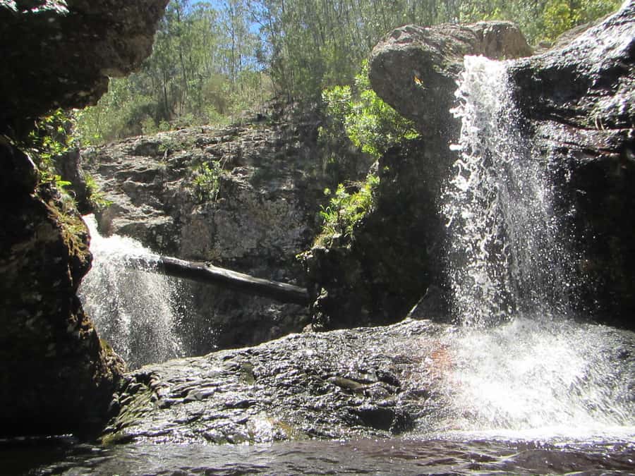 Plettenberg Bay: Canyoning Trip - Cliff jumps from 1 to 7 meters