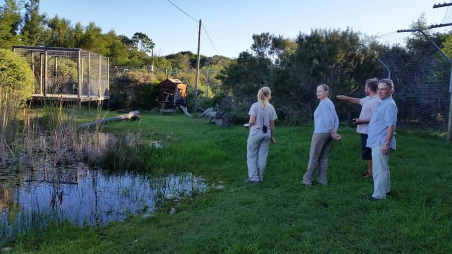 Plettenberg Bay: Cats in Conservation Full Day Tour - Breakfast at the Boma restaurant