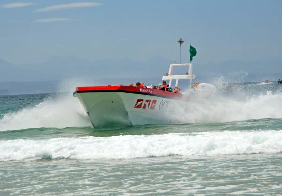 Plettenberg Bay: Dolphin and Marine Boat Tour - Key points to know before you go