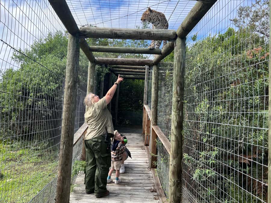 Plettenberg Bay: EcoKidz Family Wildlife Tour - Five things to know before you go