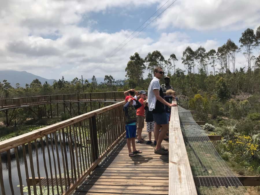 Plettenberg Bay: EcoKidz Family Wildlife Tour - The five-minute safety briefing