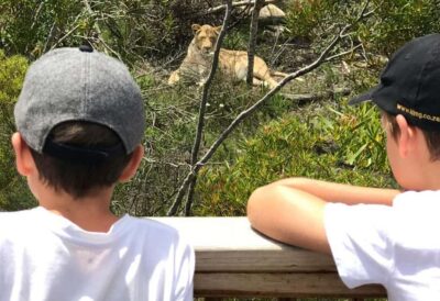 EcoKidz Family Wildlife Tour