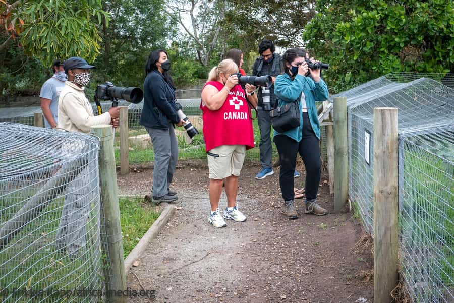 Plettenberg Bay: Private Guided Wildlife Photography Tour - Key points to know before you book