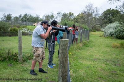 Private Guided Wildlife Photography Tour