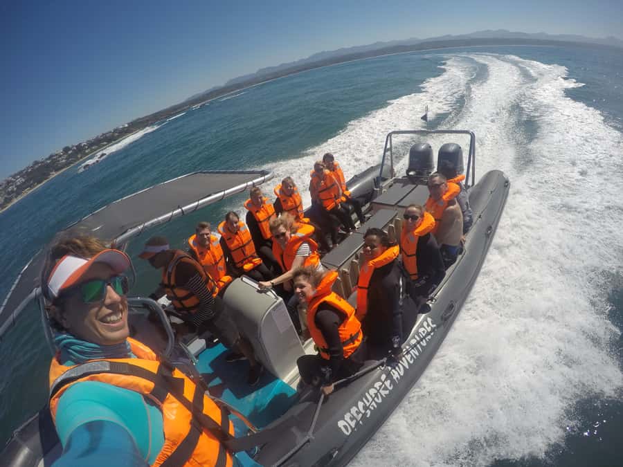 Plettenberg Bay: Seal Colony Viewing Excursion - Accessibility And Comfort