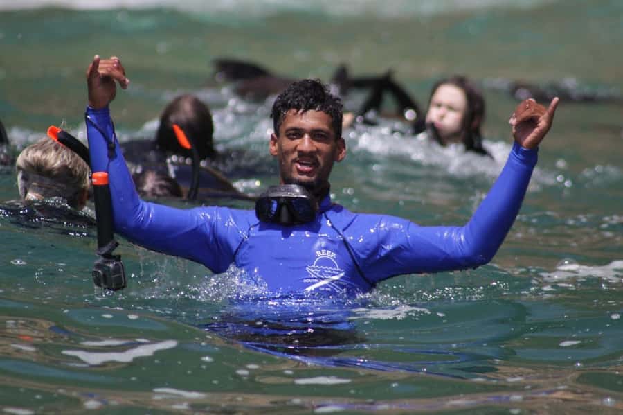 Plettenberg Bay: Seal Swimming Experience - Key points at a glance