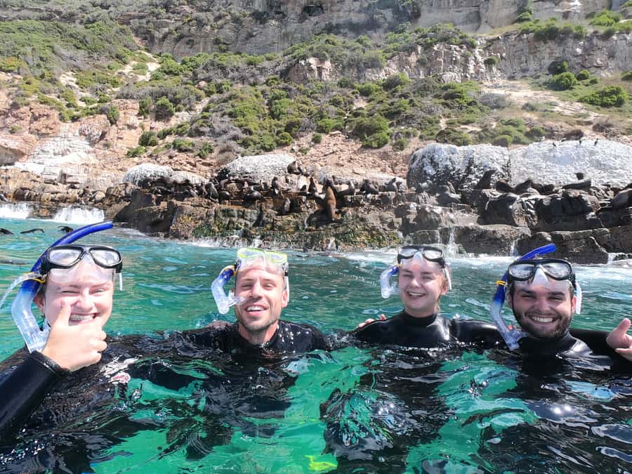 Plettenberg Bay: Seal Swimming Experience - What 20 to 25 minutes in the water feels like