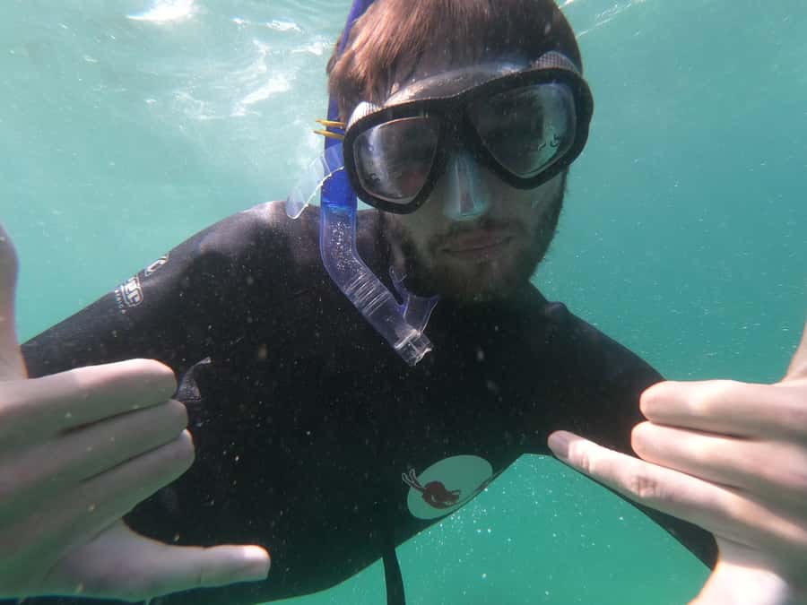 Plettenberg Bay: Seal Swimming Experience - Guides who make the activity easier