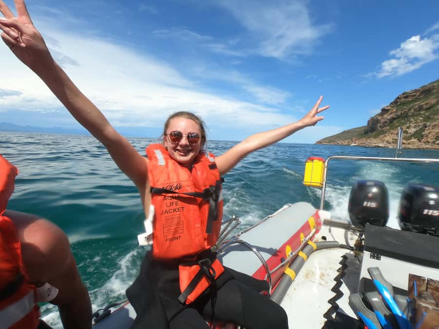 Plettenberg Bay: Seal Swimming Experience - Is the $61 price good value?