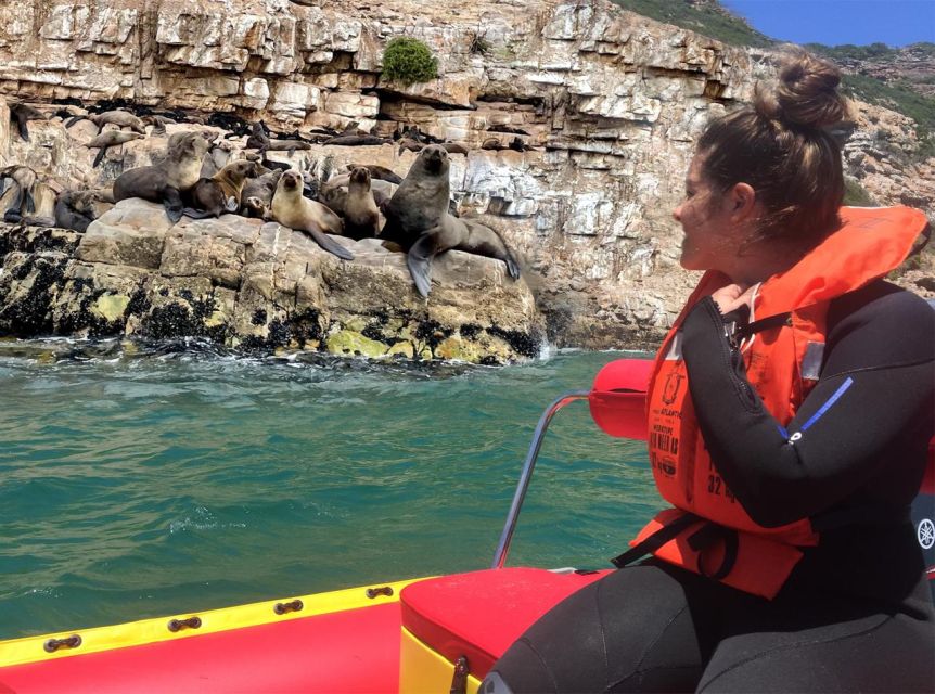 Plettenberg Bay: Seal Viewing Boat Trip - Key points at a glance