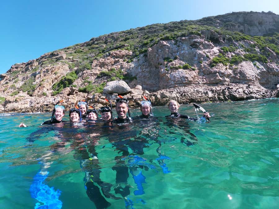 Plettenberg Bay: Swim with Seals - Starting at Central Beach with a proper briefing