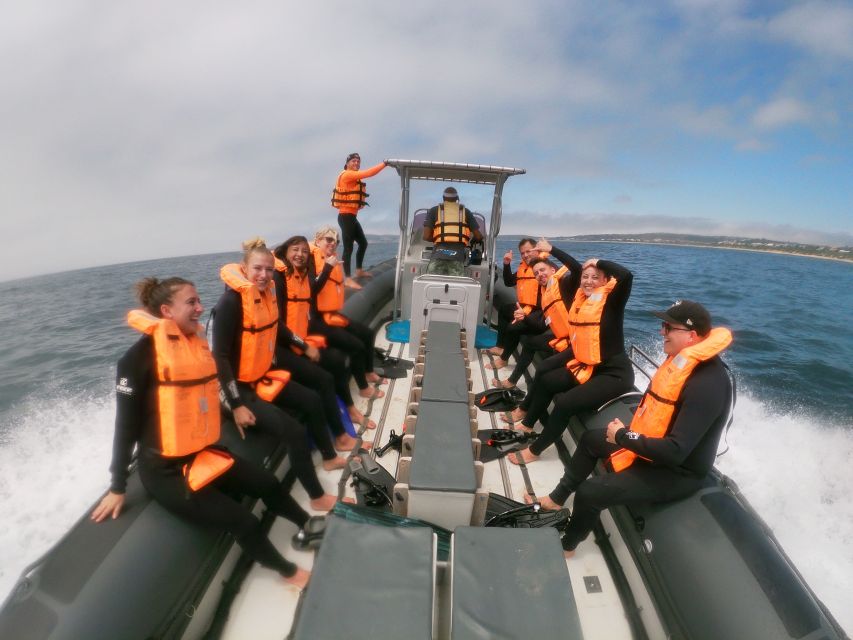 Plettenberg Bay: Swim with Seals - Who should book this seal swim?